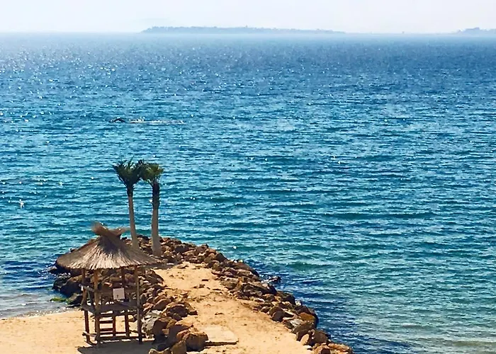 Siana 1 Lejlighed Sveti Vlas